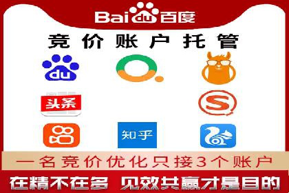 XX领域竞价广告的投放策略及效果展示
