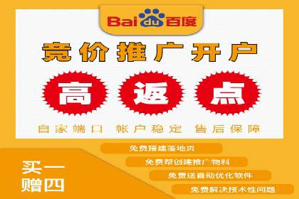 百度推广竞价全解析：某电商平台的营销策略